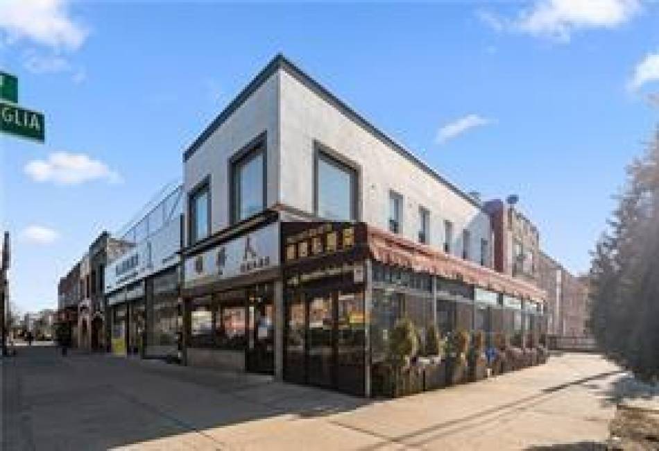 2332 86th Street, Brooklyn, New York 11214, ,Mixed Use,For Sale,86th,456210
