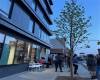 161 12th Street, Brooklyn, New York 11215, ,Rental,For Sale,12th,484379