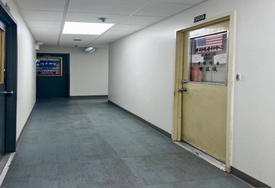 210 Canal Street, Manhattan, New York 10013, ,Commercial,For Sale,Canal,484465