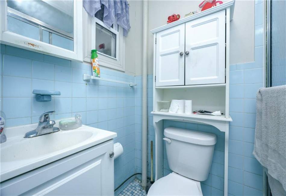 360 54th Street, Brooklyn, New York 11220, ,Residential,For Sale,54th,484892