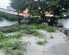 77 St. Marks Avenue, Brooklyn, New York 11217, 8 Bedrooms Bedrooms, ,Residential,For Sale,St. Marks,485035