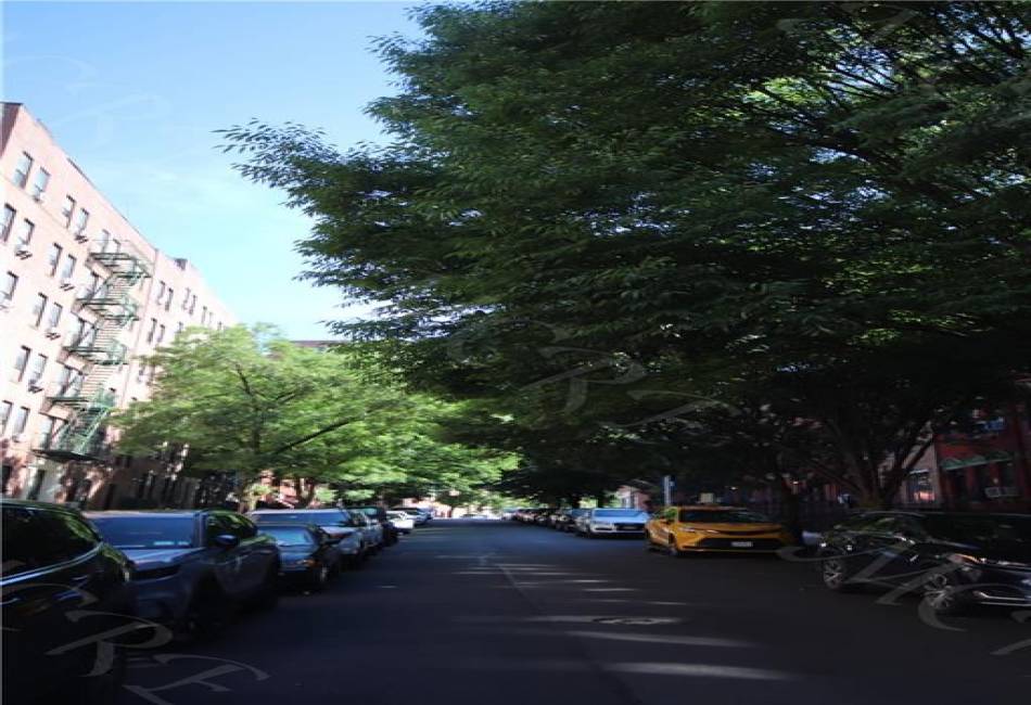197 Edgecombe Avenue, New York, New York 10030, ,4 BathroomsBathrooms,Residential,For Sale,Edgecombe,485656