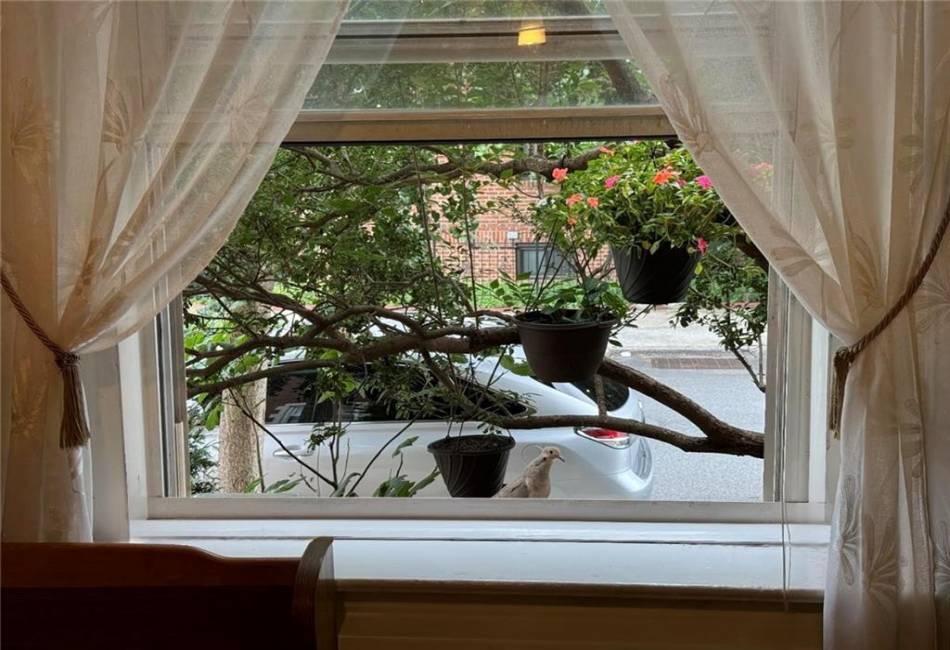 100 Avenue P, Brooklyn, New York 11204, 2 Bedrooms Bedrooms, ,1 BathroomBathrooms,Residential,For Sale,Avenue P,485053