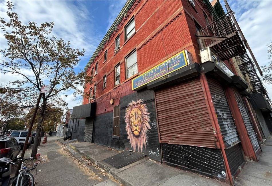 4424 3rd Avenue, Brooklyn, New York 11220, ,Mixed Use,For Sale,3rd,487480