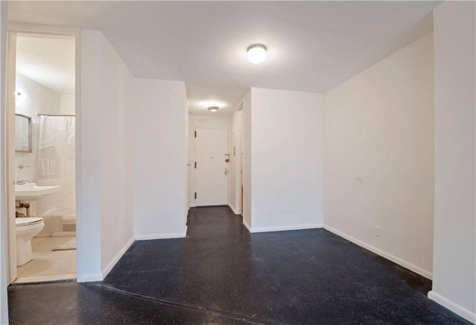 185 Hall Street, Brooklyn, New York 11205, 1 Bedroom Bedrooms, ,1 BathroomBathrooms,Residential,For Sale,Hall,488442