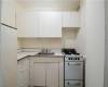 185 Hall Street, Brooklyn, New York 11205, 1 Bedroom Bedrooms, ,1 BathroomBathrooms,Residential,For Sale,Hall,488442