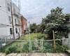 6311 13th Avenue, Brooklyn, New York 11219, ,Residential,For Sale,13th,488669