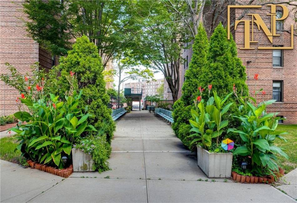2229 Knapp Street, Brooklyn, New York 11229, 3 Bedrooms Bedrooms, ,1 BathroomBathrooms,Residential,For Sale,Knapp,484951