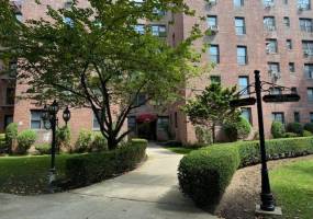 2241 Plumb 1st Street, Brooklyn, New York 11229, 1 Bedroom Bedrooms, ,1 BathroomBathrooms,Residential,For Sale,Plumb 1st,485567