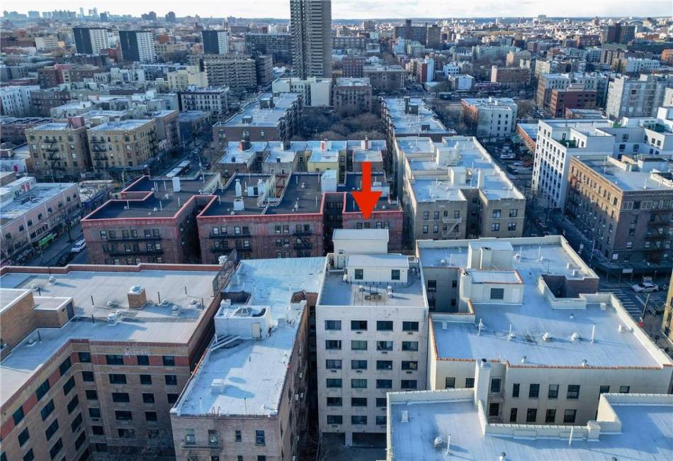 2120 Daly Avenue, Bronx, New York 10460, ,25 BathroomsBathrooms,Residential,For Sale,Daly,489041