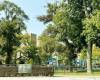 601 Surf Avenue, Brooklyn, New York 11224, 2 Bedrooms Bedrooms, ,1 BathroomBathrooms,Residential,For Sale,Surf,489154