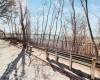 9801 Shore Road, Brooklyn, New York 11209, 2 Bedrooms Bedrooms, ,1 BathroomBathrooms,Residential,For Sale,Shore,489133