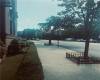 7119 Shore Road, Brooklyn, New York 11209, 1 Bedroom Bedrooms, ,1 BathroomBathrooms,Residential,For Sale,Shore,489230