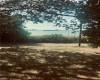 7119 Shore Road, Brooklyn, New York 11209, 1 Bedroom Bedrooms, ,1 BathroomBathrooms,Residential,For Sale,Shore,489230