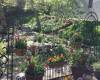 50 Fort Place, Staten Island, New York 10301, 3 Bedrooms Bedrooms, ,2 BathroomsBathrooms,Residential,For Sale,Fort,489269