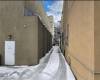 1163 Manor Avenue, Bronx, New York 10472, ,Commercial,For Sale,Manor,489406
