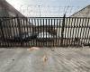 9530 Ditmas Avenue, Brooklyn, New York 11236, ,Commercial,For Sale,Ditmas,489417