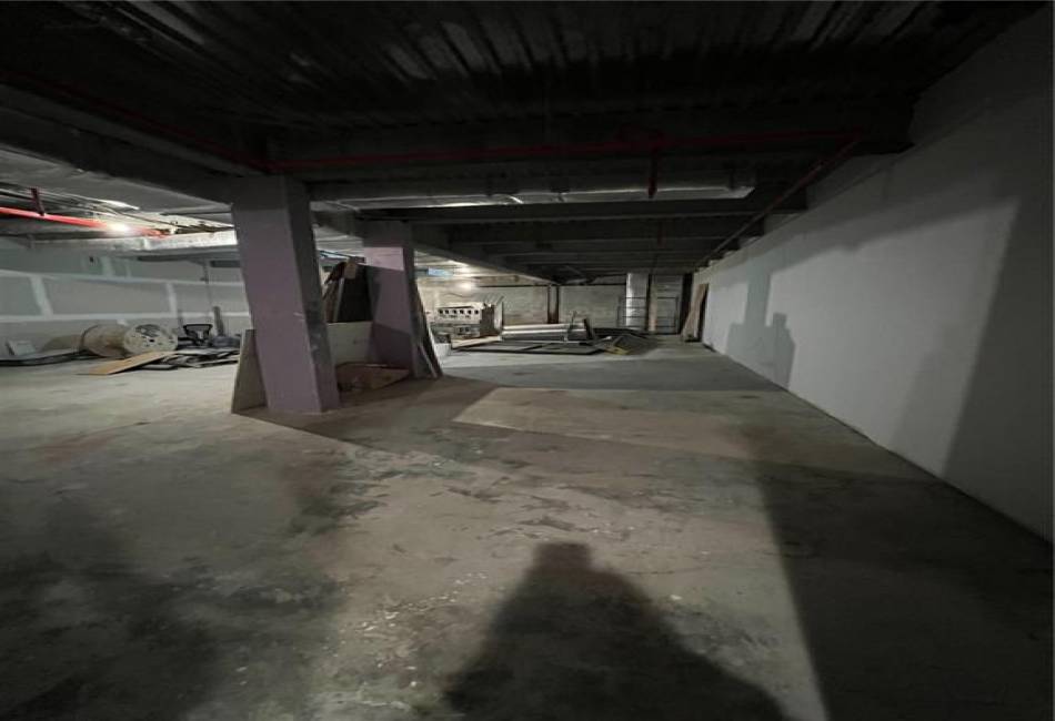 110 Thatford Avenue, Brooklyn, New York 11212, ,Rental,For Sale,Thatford,489312