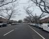 1235 Troy Avenue, Brooklyn, New York 11203, 3 Bedrooms Bedrooms, ,1.75 BathroomsBathrooms,Residential,For Sale,Troy,489540