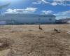 637 Oceanside Avenue, Brooklyn, New York 10305, 2 Bedrooms Bedrooms, ,2 BathroomsBathrooms,Residential,For Sale,Oceanside,489620