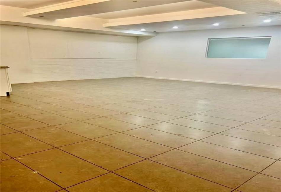 187 4th Avenue, Brooklyn, New York 11217, ,Rental,For Sale,4th,489669