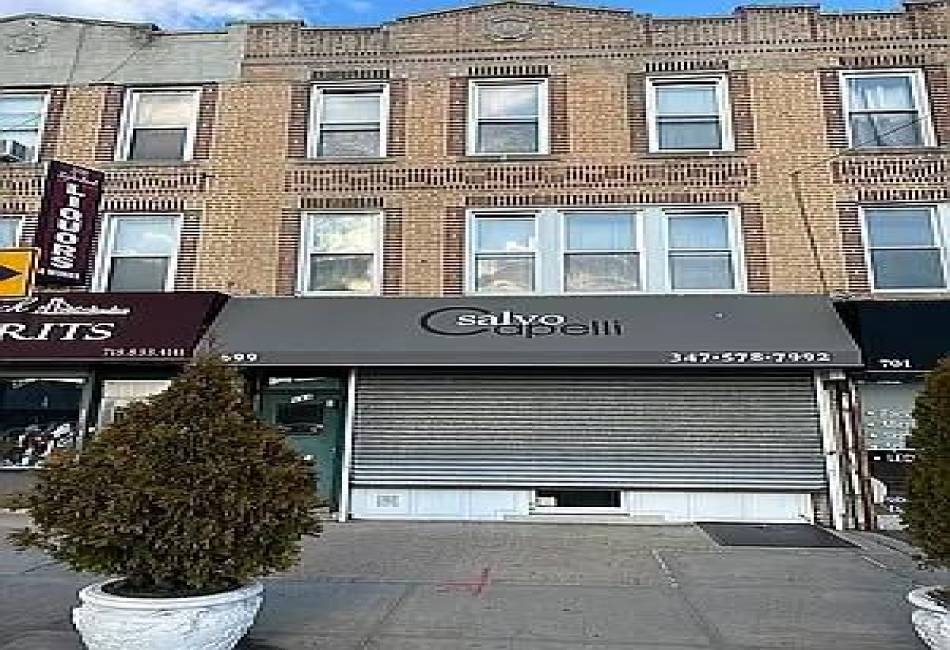 699 86th Street, Brooklyn, New York 11228, ,Mixed Use,For Sale,86th,489977