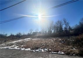 1 Tarlton Street, Staten Island, New York 10306, ,Land,For Sale,Tarlton,490014