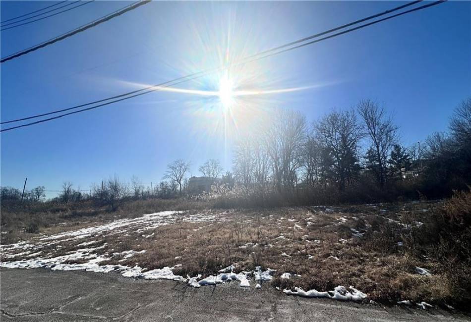 1 Tarlton Street, Staten Island, New York 10306, ,Land,For Sale,Tarlton,490014