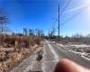 1 Tarlton Street, Staten Island, New York 10306, ,Land,For Sale,Tarlton,490014