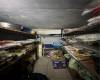 2663 Coney Island Avenue, Brooklyn, New York 11223, ,Commercial,For Sale,Coney Island,490043