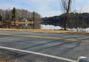 490 Briscoe Road, Swan Lake, New York 12783, ,Land,For Sale,Briscoe,490269