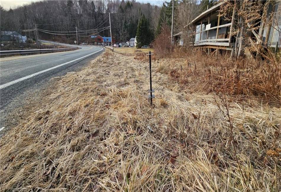 490 Briscoe Road, Swan Lake, New York 12783, ,Land,For Sale,Briscoe,490269
