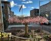 7021 Colonial Road, Brooklyn, New York 11209, 7 Bedrooms Bedrooms, ,4 BathroomsBathrooms,Residential,For Sale,Colonial,490699