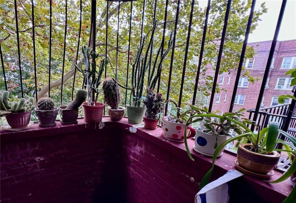 1620 Avenue I, Brooklyn, New York 11230, 3 Bedrooms Bedrooms, ,2 BathroomsBathrooms,Residential,For Sale,Avenue I,490917