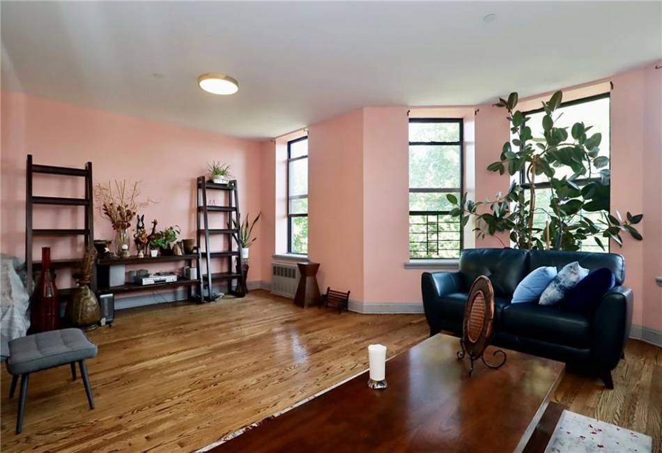 848 Park Place, Brooklyn, New York 11216, 4 Bedrooms Bedrooms, ,2 BathroomsBathrooms,Residential,For Sale,Park,483906