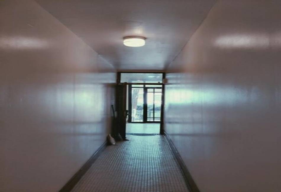 360 98th Street, Brooklyn, New York 11212, 11 Bedrooms Bedrooms, ,5 BathroomsBathrooms,Residential,For Sale,98th,492372