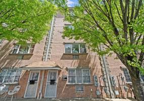 53 Woods Place, Brooklyn, New York 11226, 6 Bedrooms Bedrooms, ,5 BathroomsBathrooms,Residential,For Sale,Woods,492405