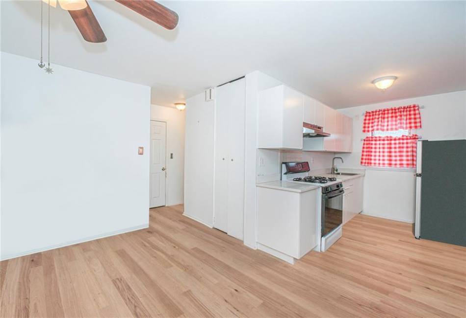 2271 1st Street, Brooklyn, New York 11225, ,Residential,For Sale,1st,492437