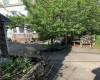 2271 1st Street, Brooklyn, New York 11225, ,Residential,For Sale,1st,492437