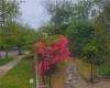 112-30 68th Avenue, Queens, New York 11375, 5 Bedrooms Bedrooms, ,4 BathroomsBathrooms,Residential,For Sale,68th,492457