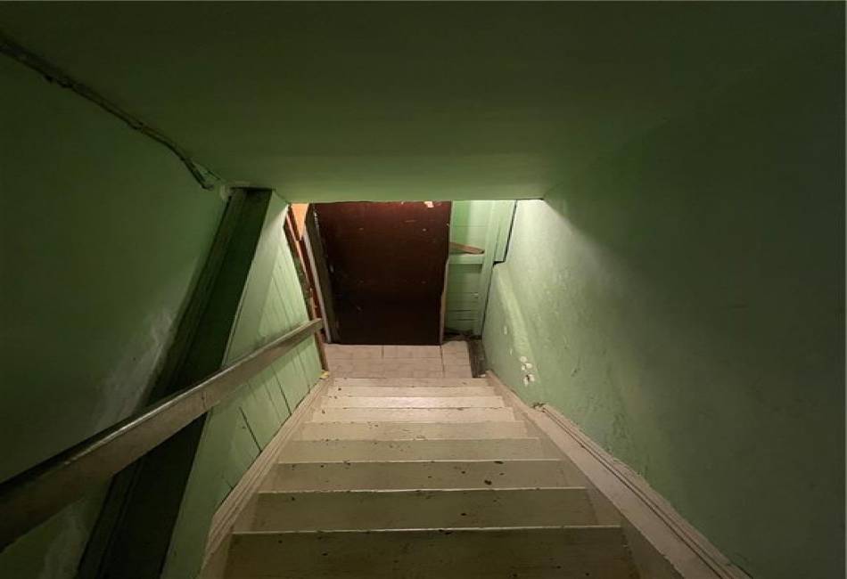 163 29th Street, Brooklyn, New York 11226, 4 Bedrooms Bedrooms, ,3 BathroomsBathrooms,Residential,For Sale,29th,492470