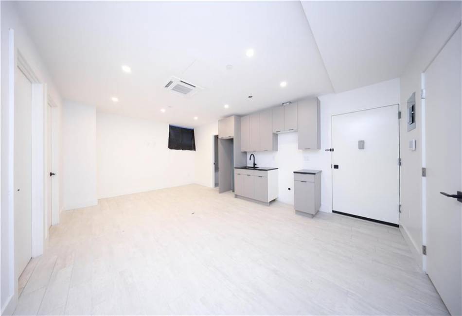 1058 62nd Street, Brooklyn, New York 11219, 16 Bedrooms Bedrooms, ,21 BathroomsBathrooms,Residential,For Sale,62nd,492552