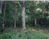 32 Harrison Avenue, Suffolk, New York 11968, ,Land,For Sale,Harrison,492581