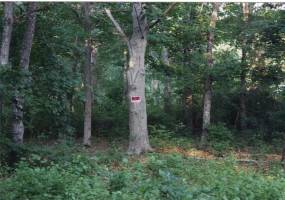 32 Harrison Avenue, Suffolk, New York 11968, ,Land,For Sale,Harrison,492581