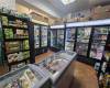 937 Coney Island Avenue, Brooklyn, New York 11230, ,Commercial,For Sale,Coney Island,492733