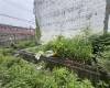 540 Schenck Avenue, Brooklyn, New York 11207, ,Land,For Sale,Schenck,492718
