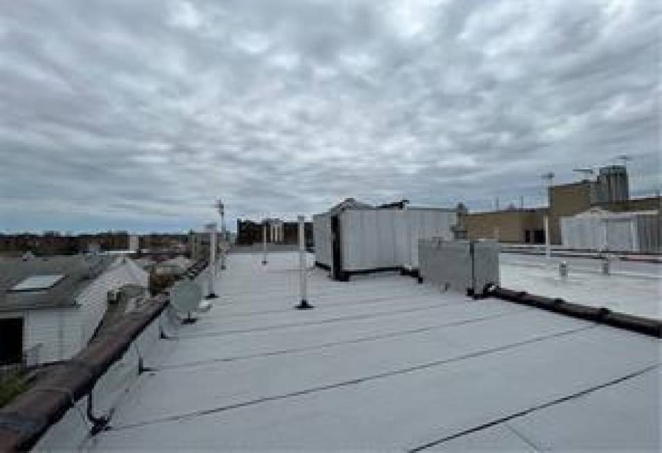 1436 8th Street, Brooklyn, New York 11204, 11 Bedrooms Bedrooms, ,Residential,For Sale,8th,492843